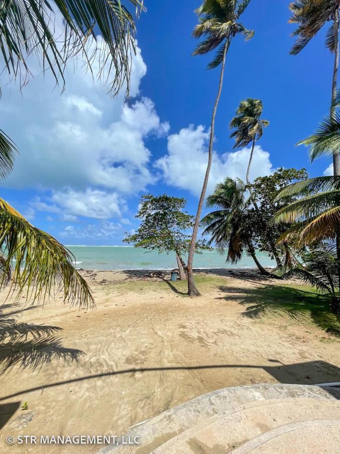 Upscale Condo At Aquatika Beach & Vacation Villas Loiza Exterior photo